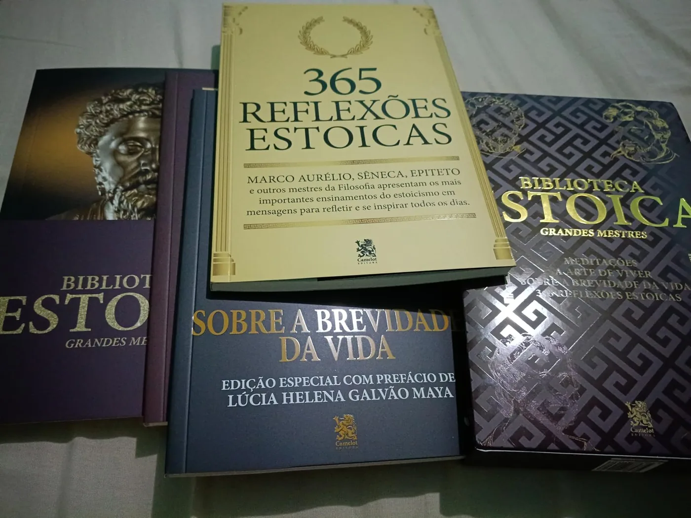 Foto enviada por Francisco Nascimento do Box Biblioteca Estoica