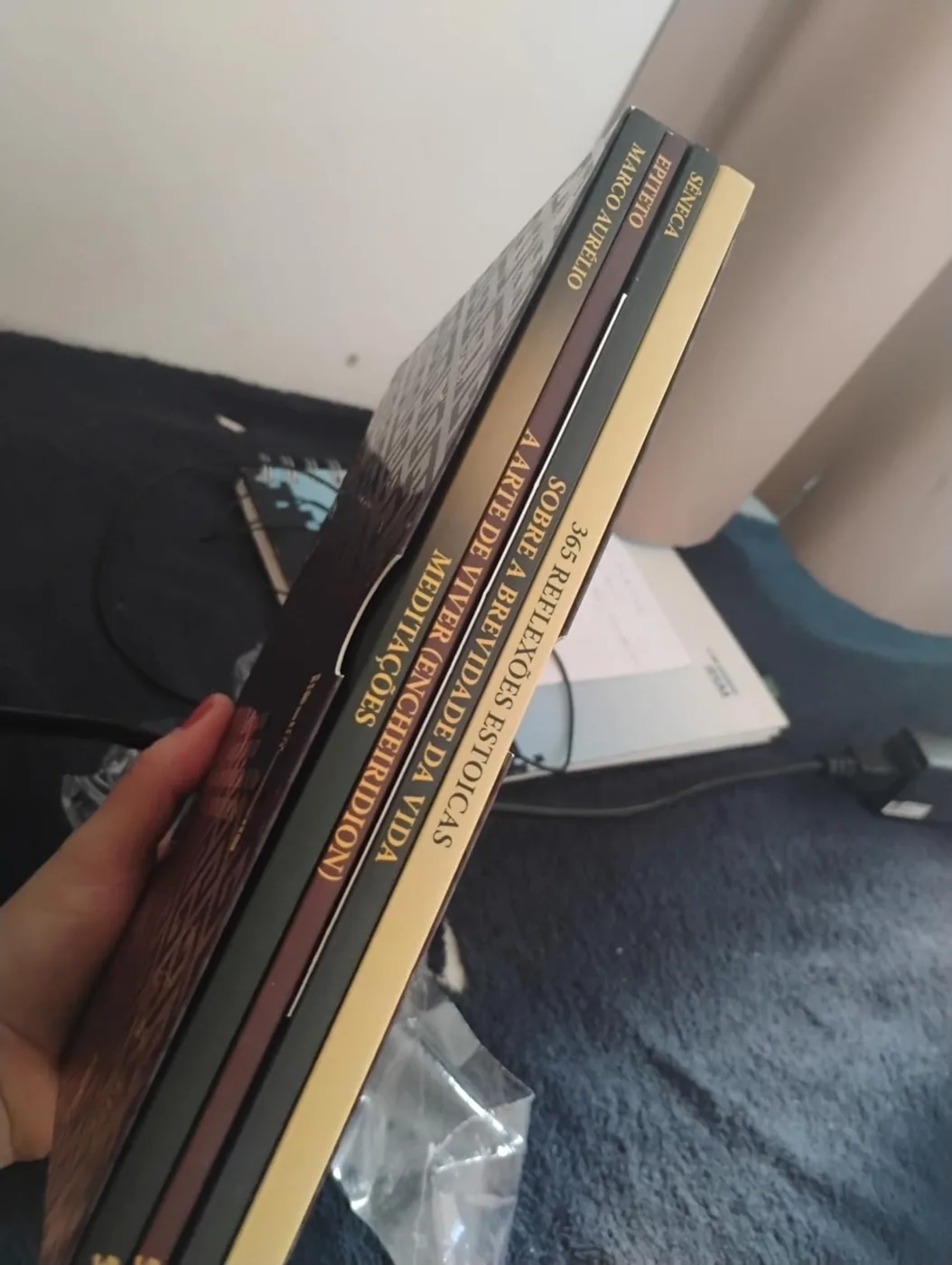 Foto enviada por Juliana Pereira do Box Biblioteca Estoica