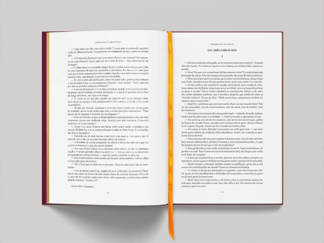 Páginas internas do livro
